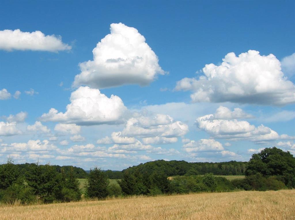 Cumulus Clouds