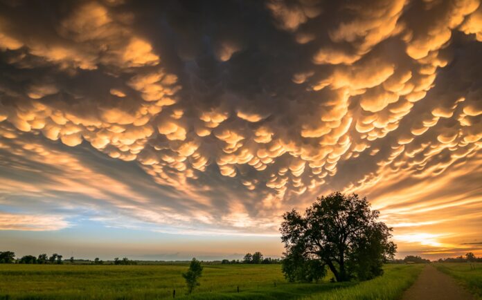 Mammatus Clouds