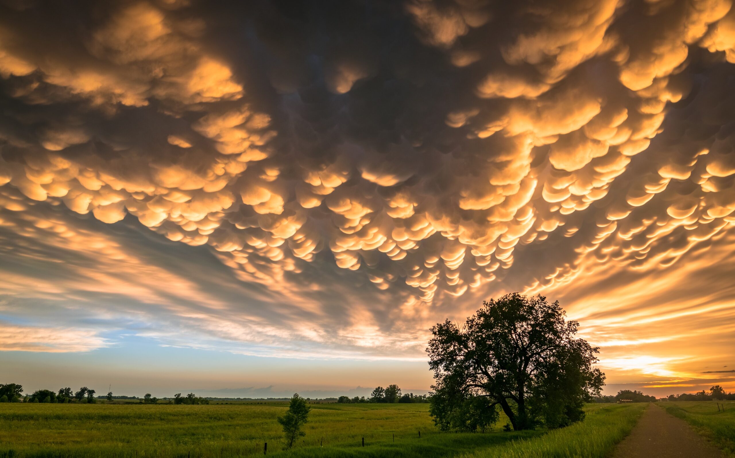 Mammatus Clouds