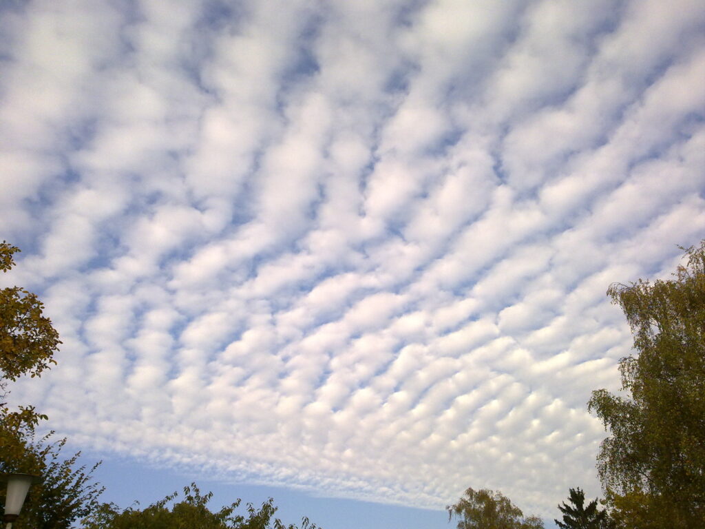 Altocumulus Undulatus Clouds