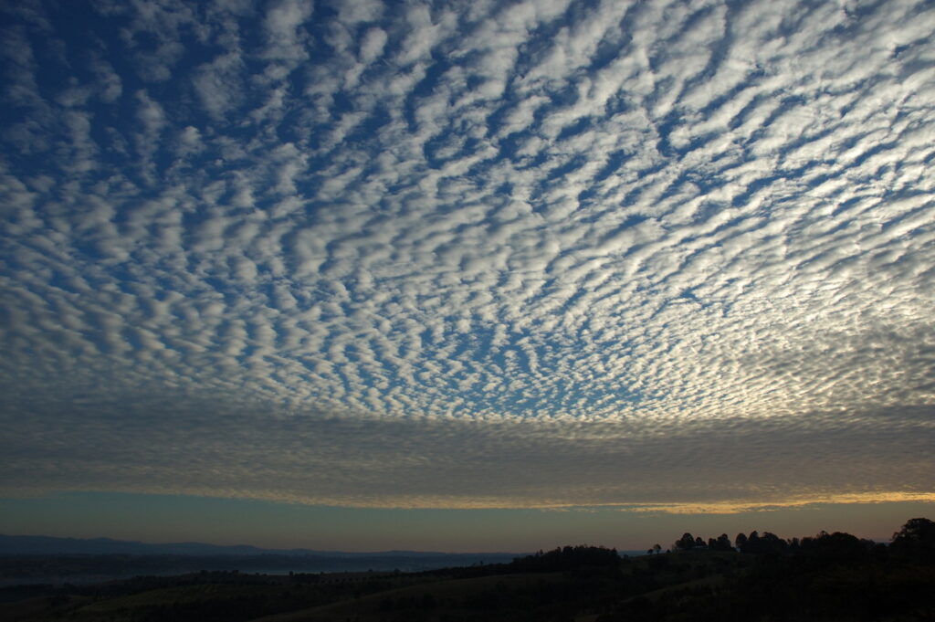 Altocumulus Clouds