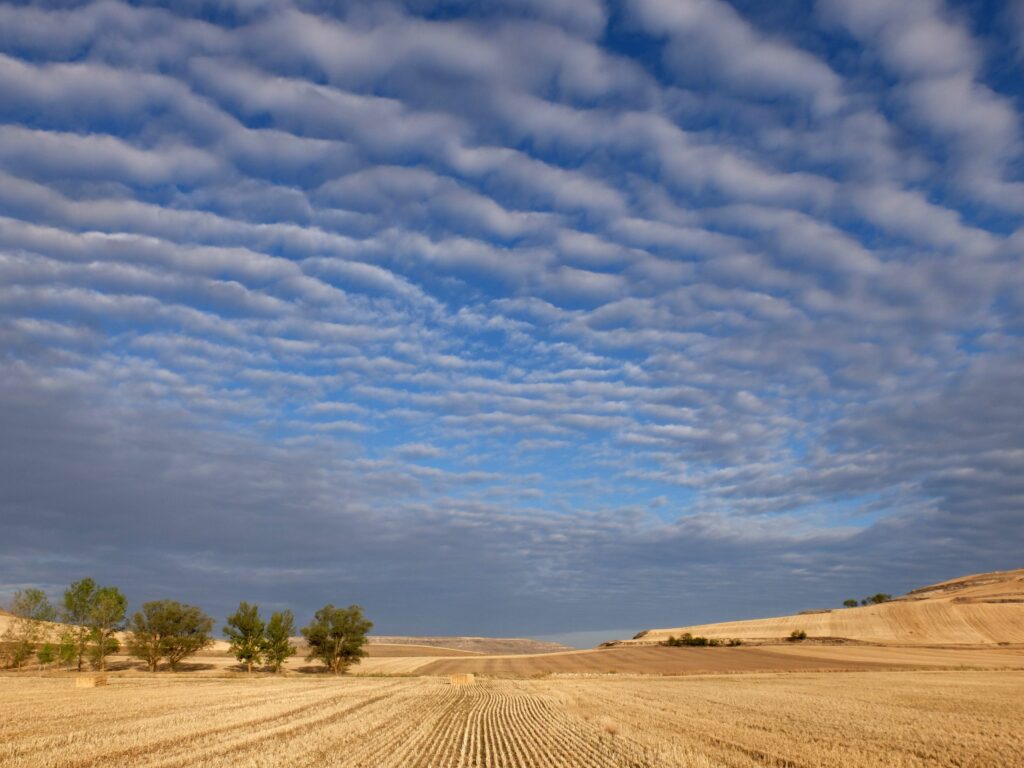 Altocumulus Clouds