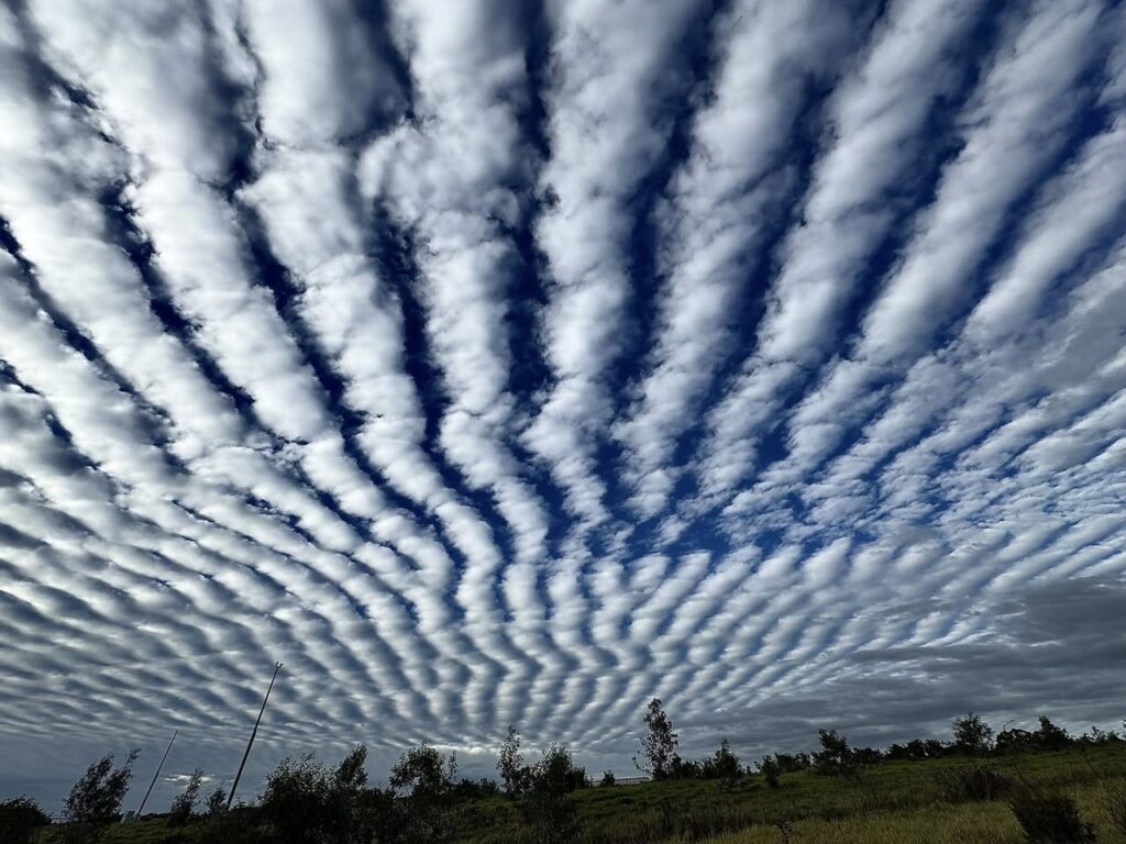 Altocumulus undulatus clouds are a variant of altocumulus clouds