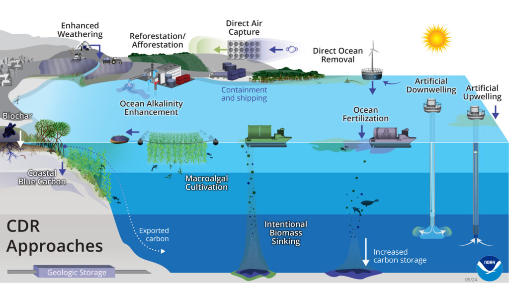 Carbon Dioxide Removal (CDR)