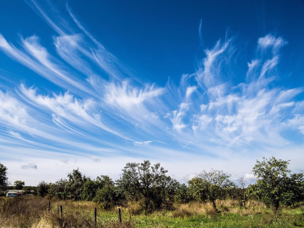 Cirrus uncinus, or “mare’s tails”