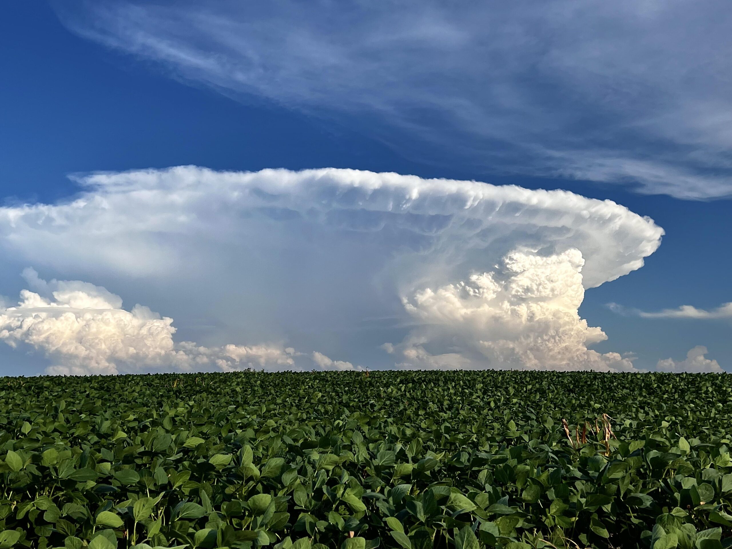 Cumulonimbus Clouds