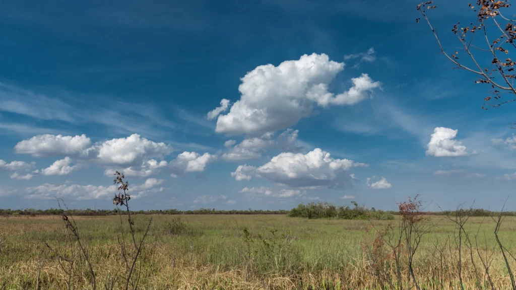 Cumulus Clouds