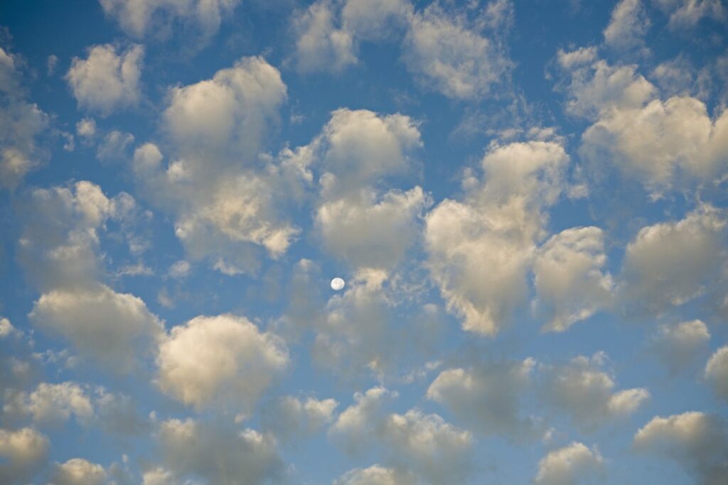 Cumulus Clouds