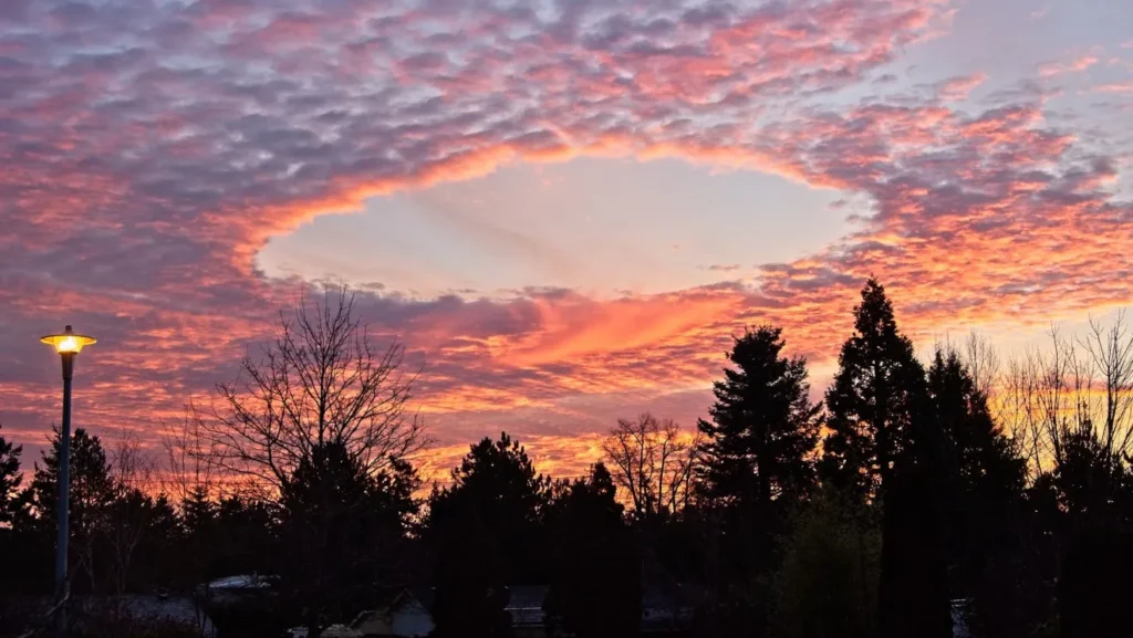 Fallstreak or Hole-punch clouds