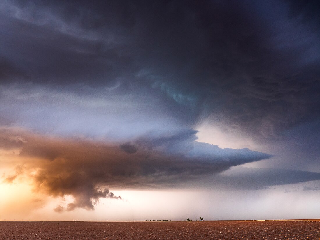Cauda Clouds