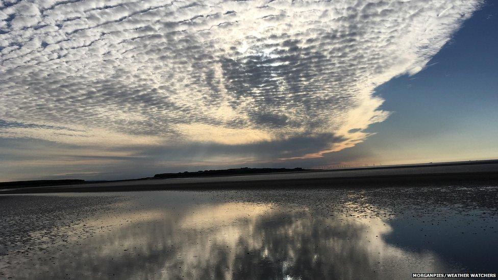 Undulatus clouds are a recognised cloud variety characterised by wave-like patterns across the sky. 