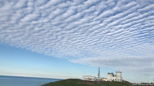 Undulatus Clouds: Formation, Gravity Waves, and Science
