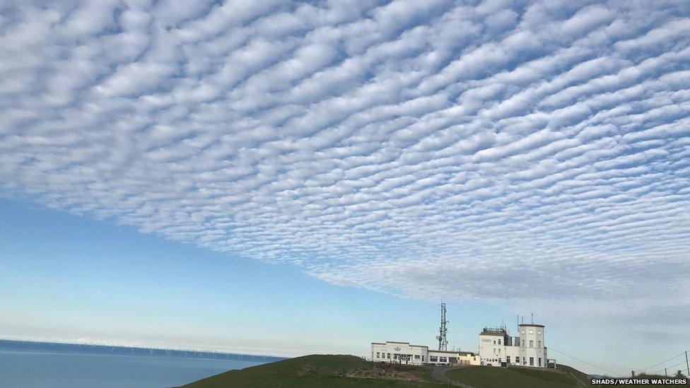 Undulatus clouds are a recognised cloud variety characterised by wave-like patterns across the sky.