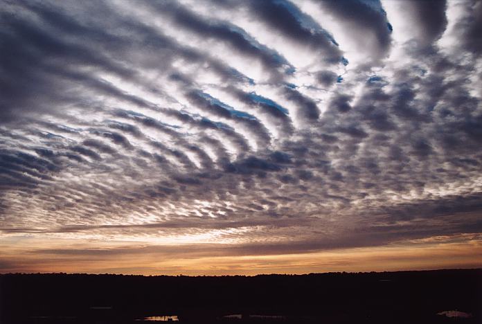 Undulatus clouds are a recognised cloud variety characterised by wave-like patterns across the sky.