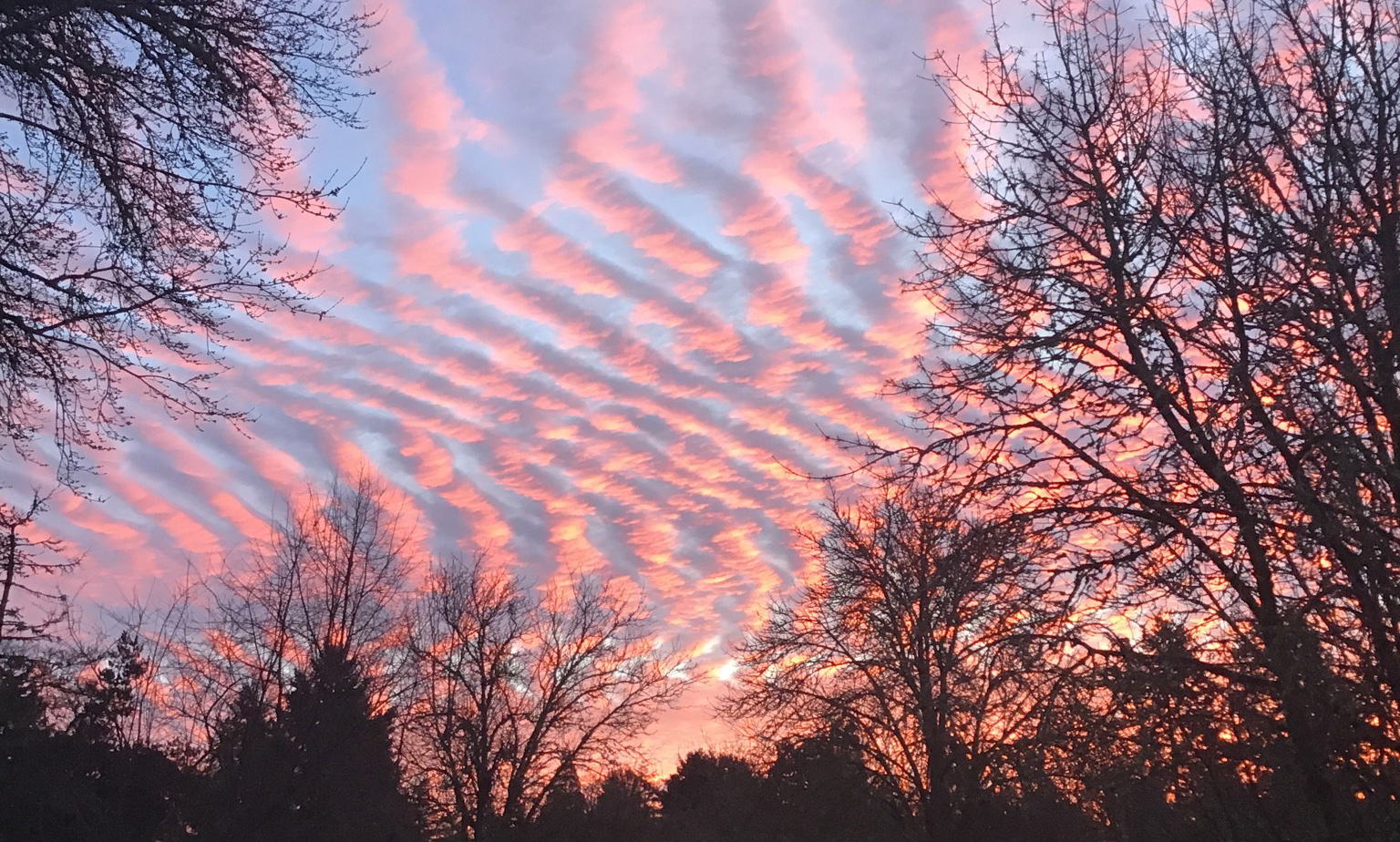 Undulatus clouds are a recognised cloud variety characterised by wave-like patterns across the sky. 