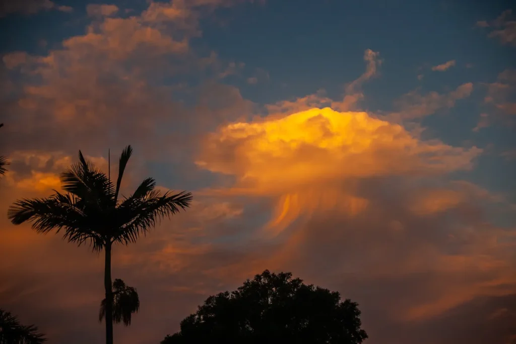 Virga Clouds look particularly beautiful at sunset.